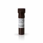 Thermo Scientific Halt Protease and Phosphatase Inhibitor Cocktail