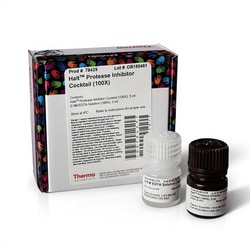 Thermo Scientific Halt Protease Inhibitor Cocktail (100X) 5 mL | Buy Online | Thermo Scientific&trade; | Fisher Scientific