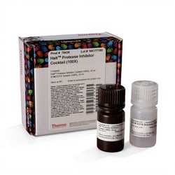 Thermo Scientific Cocktail inhibiteur de protéases Halt (100X) 10 ml | Buy Online | Thermo Scientific&trade; | Fisher Scientific
