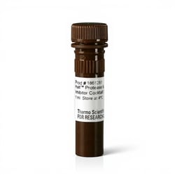 Thermo Scientific Halt Protease and Phosphatase Inhibitor Cocktail, EDTA-free (100X) 1 mL | Buy Online | Thermo Scientific&trade; | Fisher Scientific
