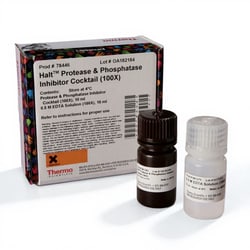 Thermo Scientific&trade;&nbsp;Halt&trade; Protease and Phosphatase Inhibitor Cocktail (100X)