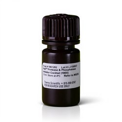 Thermo Scientific&trade;&nbsp;Halt&trade; Protease and Phosphatase Inhibitor Cocktail, EDTA-free (100X)