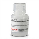 Thermo Scientific™ Réactif M-PER™ pour l’extraction de protéines de mammifères