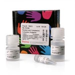 Thermo Scientific Mem-PER Plus Membrane Protein Extraction Kit 300