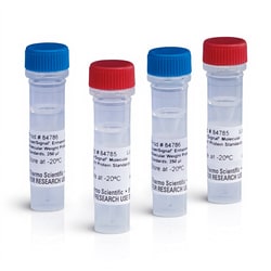 Thermo Scientific™ SuperSignal™ Molecular Weight Protein Ladder