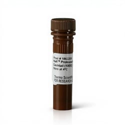 Thermo Scientific Halt Protease Inhibitor Cocktail, EDTA-Free (100X) 1 mL | Buy Online | Thermo Scientific&trade; | Fisher Scientific
