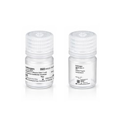 Invitrogen&trade;&nbsp;MagniSort&trade; Mouse CD4 T cell Enrichment Kit