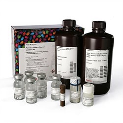 Thermo Scientific Pierce Primary Neuron Isolation Kit 1 L kit | Buy Online | Thermo Scientific&trade; | Fisher Scientific