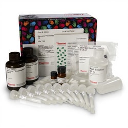 Thermo Scientific&trade;&nbsp;GlycoLink&trade; Immobilization Kit