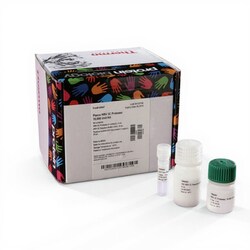Thermo Scientific Pierce HRV 3C Protease Solution Kit (2 units/ L) 10,000 U | Buy Online | Thermo Scientific&trade; | Fisher Scientific