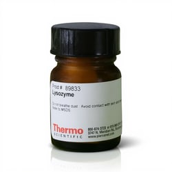 Thermo Scientific™ Lysozyme