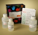 Thermo Scientific™ Lysosome Enrichment Kit for Tissues and Cultured Cells