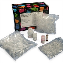 Thermo Scientific™ Pierce™ SDS-PAGE Sample Prep Kit