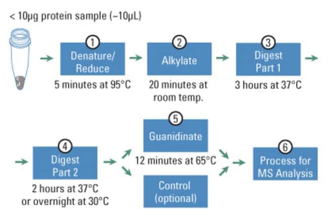 Thermo Scientific™ Tryptic Digestion Kits In-Gel Tryptic Digestion Kit ...