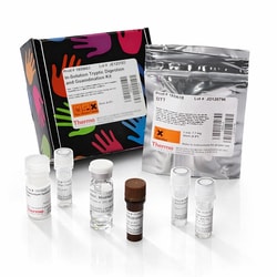 Thermo Scientific Tryptic Digestion Kits Digestion and Guanidination Kit | Buy Online | Thermo Scientific&trade; | Fisher Scientific