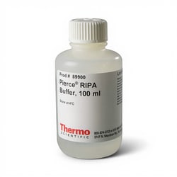 Thermo Scientific RIPA Lysis and Extraction Buffer 100 mL | Buy Online | Thermo Scientific™ | Fisher Scientific