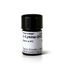 Thermo Scientific L-Lysine-2HCl for SILAC 50 mg | Buy Online | Thermo Scientific&trade; | Fisher Scientific