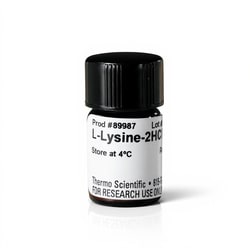 Thermo Scientific L-Lysine-2HCl for SILAC 50 mg | Buy Online | Thermo Scientific&trade; | Fisher Scientific