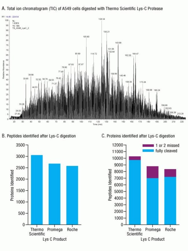 Thermo Scientific™ Mass Spectrometry Grade Proteases Fisher Scientific