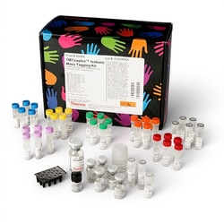 Thermo Scientific TMTsixplex Isobaric Mass Tagging Kit 35 Reactions | Buy Online | Thermo Scientific&trade; | Fisher Scientific