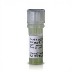 Thermo Scientific™ DNase I Solution (2500 U/mL)