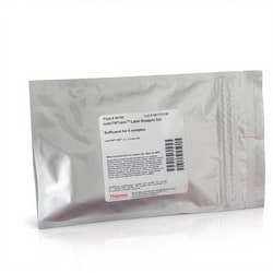 Thermo Scientific Thermo Scientific iodoTMT Isobaric Label Reagents and Kits 5 x 0,2 mg | Buy Online | Thermo Scientific&trade; | Fisher Scientific
