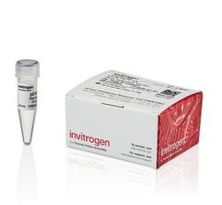 Invitrogen Gateway pENTR 1A Dual Selection Vector 10 &mu;g:Reactivos y