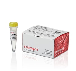 Invitrogen Gateway pENTR 2B Dual Selection Vector 10 &mu;g:Molecular Biology