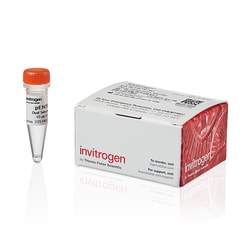 Invitrogen Gateway pENTR 3C Dual Selection Vector 10 &mu;g:Reagenzien und
