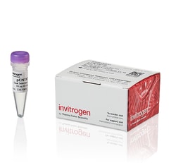Invitrogen™ Gateway™ pENTR™ 4 Dual Selection Vector