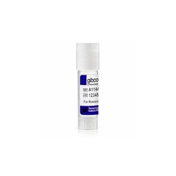 Gibco&trade;&nbsp;Myoblasts squelettiques humains (HSkM)