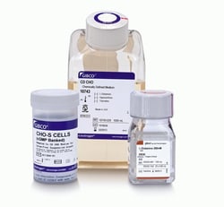 Gibco™ CHO-S Cells (cGMP Banked) and Media Kit have been developed for the growth of Chinese Hamster Ovary (CHO) cells and expression of recombinant proteins in suspension culture. CHO-S Cells (cGMP banked) and Media Kit
