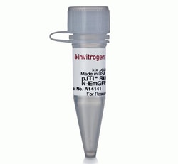 Thermo Scientific&trade;&nbsp;pJTI&trade; R4 Dest CMV N-EmGFP pA Vector