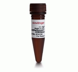 Thermo Scientific LanthaScreen Tb-anti-Histone H3K9me2 Antibody 100 &mu;g:Antibodies