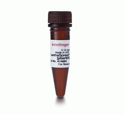 Thermo Scientific LanthaScreen Tb-anti-LRRK2 [pSer935] Antibody:Antibodies:Primary