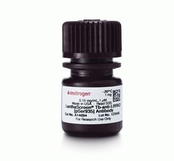 Thermo Scientific LanthaScreen Tb-anti-LRRK2 [pSer935] Antibody 1 mg:Antibodies,