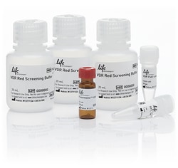 Thermo Scientific™ PolarScreen™ Vitamin D Receptor Competitor Assay Kit, Red
