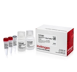 Invitrogen&trade;&nbsp;Cells-to-CT&trade; 1-Step TaqMan&trade; Kit