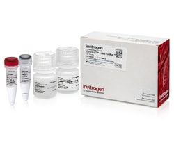 Invitrogen Cells-to-CT 1-Step TaqMan Kit 100 Reactions | Buy Online | Invitrogen&trade; | Fisher Scientific