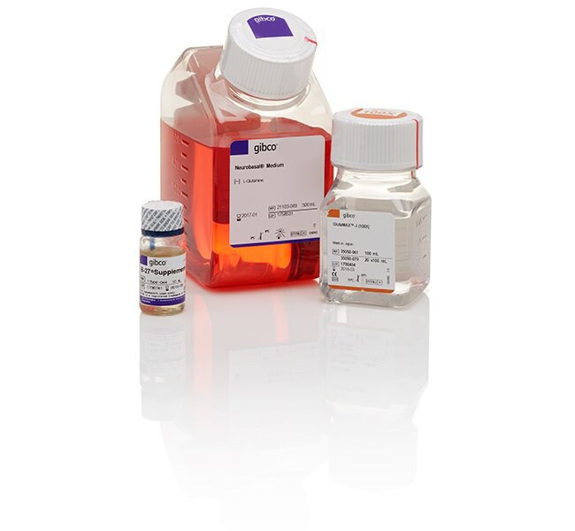 Gibco Gibco Neural Cell Culture Starter Kit 1 KitBiochemical Reagents