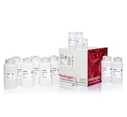 Invitrogen™ PureLink™ Expi Endotoxin-Free Buffer Set