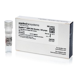 Applied Biosystems™ MagMAX™ HMW DNA Kit and Booster