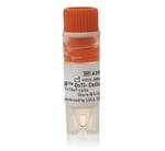 Gibco™ Expi293F™ GnTI- Cells