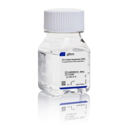 Gibco&trade;&nbsp;Insulin-Transferrin-Selenium-Ethanolamine (ITS-X) Select Supplement (100X)