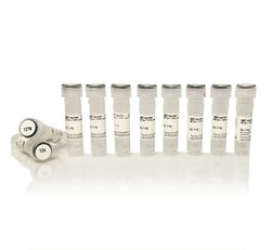 Thermo Scientific™ TMTpro™ 10plex Isobaric Label Reagent Set (Unit Mass Reporter), 1 x 5 mg