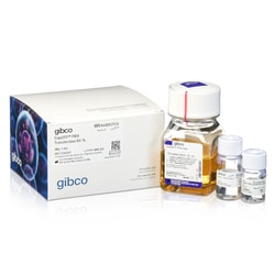 Gibco™ Expi293™ PRO Transfection Kit