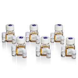 Gibco&trade;&nbsp;Expi293&trade; PRO Transfection Kit