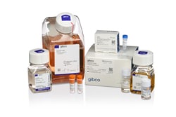 Gibco™ Expi293™ PRO Expression System Kit
