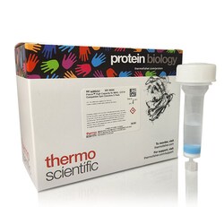 Thermo Scientific&trade;&nbsp;Pierce&trade; High-Capacity EDTA-Compatible Ni-IMAC Resin