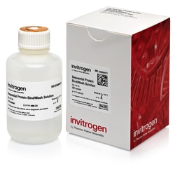 Invitrogen&trade;&nbsp;Sequential Protein Bind/Wash Solution, 100 rxns